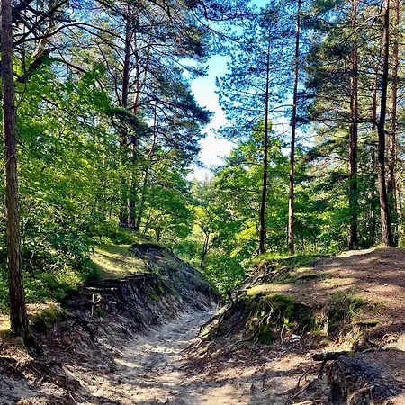 Jaskolka Park ستيغنا